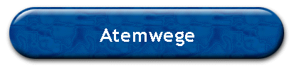 Atemwege