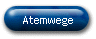 Atemwege