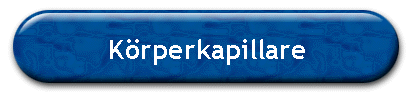 Krperkapillare