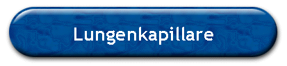 Lungenkapillare