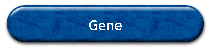 Gene