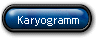 Karyogramm