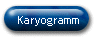 Karyogramm