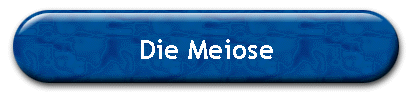 Die Meiose