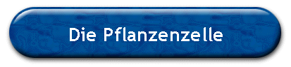 Die Pflanzenzelle