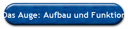 Das Auge: Aufbau und Funktion