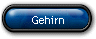 Gehirn