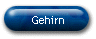 Gehirn