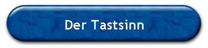 Der Tastsinn