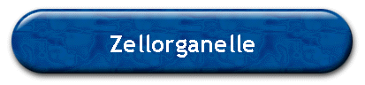 Zellorganelle