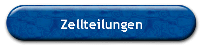 Zellteilungen