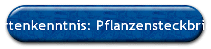 Artenkenntnis: Pflanzensteckbrief