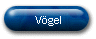 Vögel